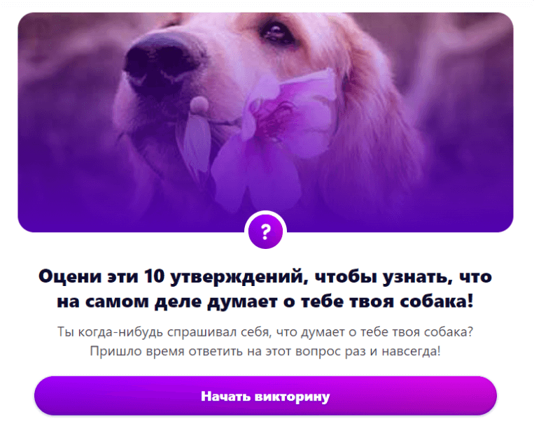 privedu-takoy-primer-kviza.png