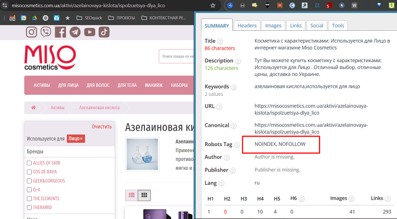 posadochnaya-stranica-zakryta-tegom-noindex.png