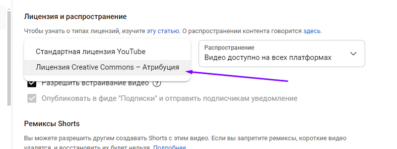 standartnaya-licenziya-yutuba.png
